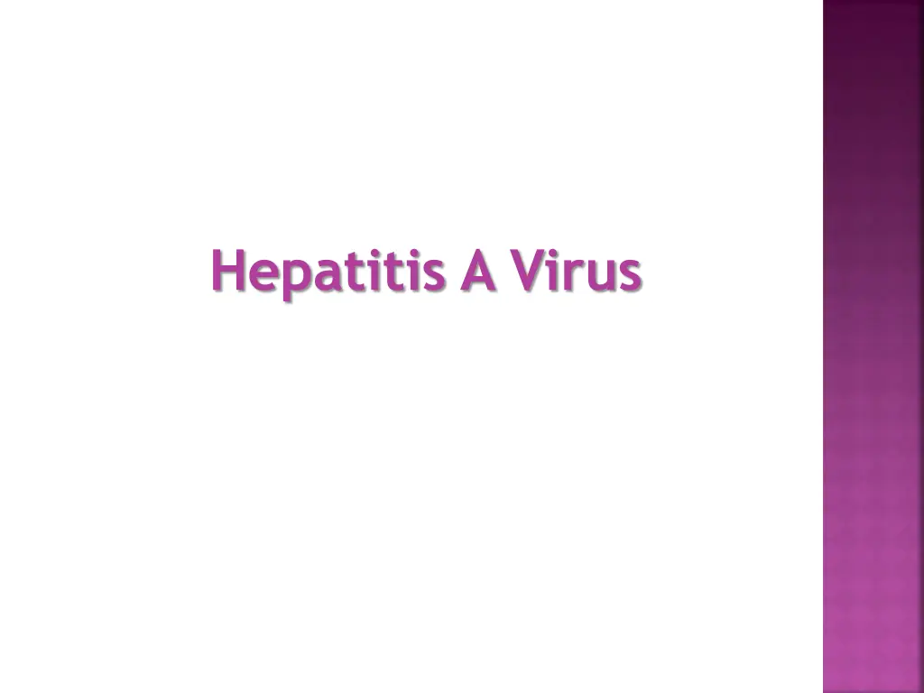 hepatitis a virus