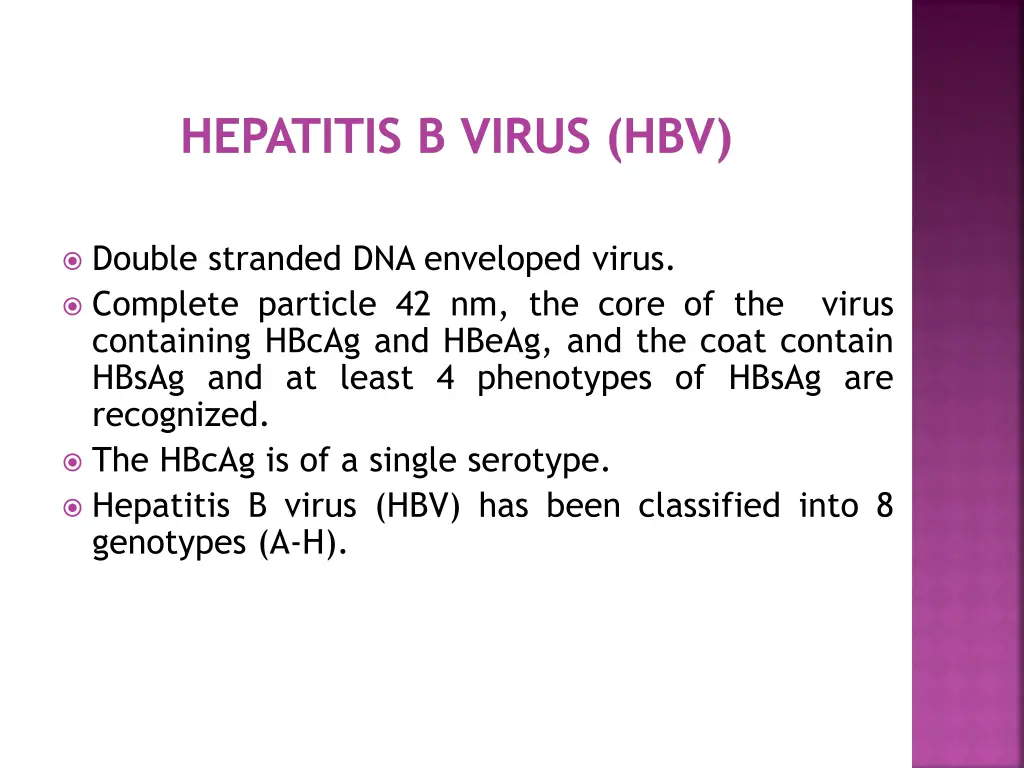 hepatitis b virus hbv