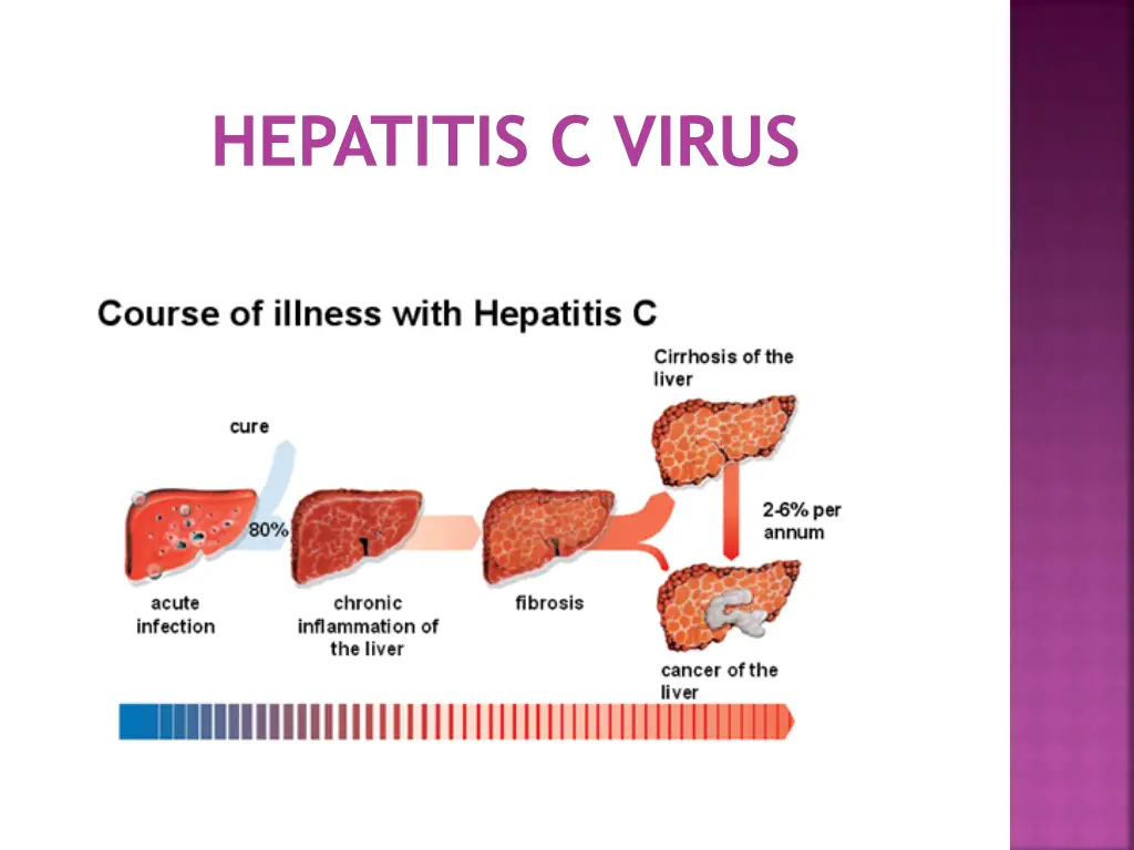 hepatitis c virus 1