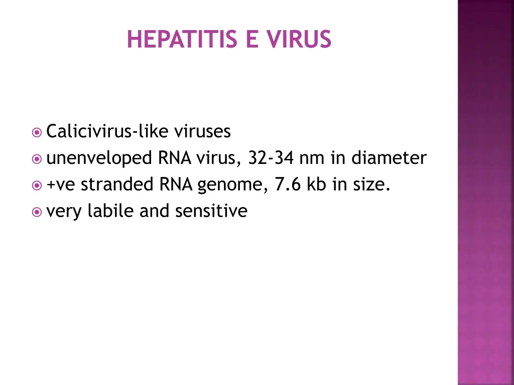 hepatitis e virus 1