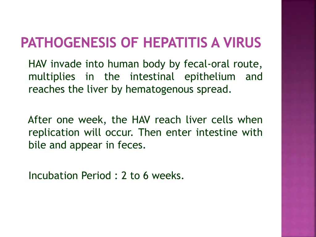 pathogenesis of hepatitis a virus