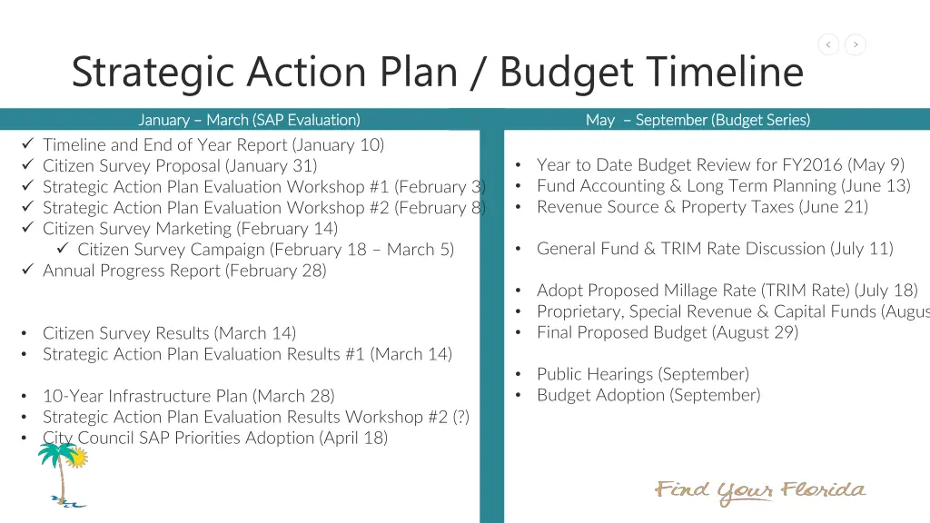 strategic action plan budget timeline