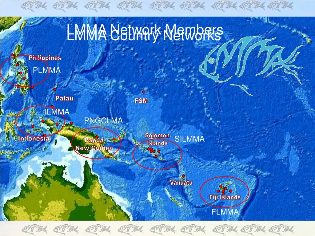 lmma network members lmma country networks