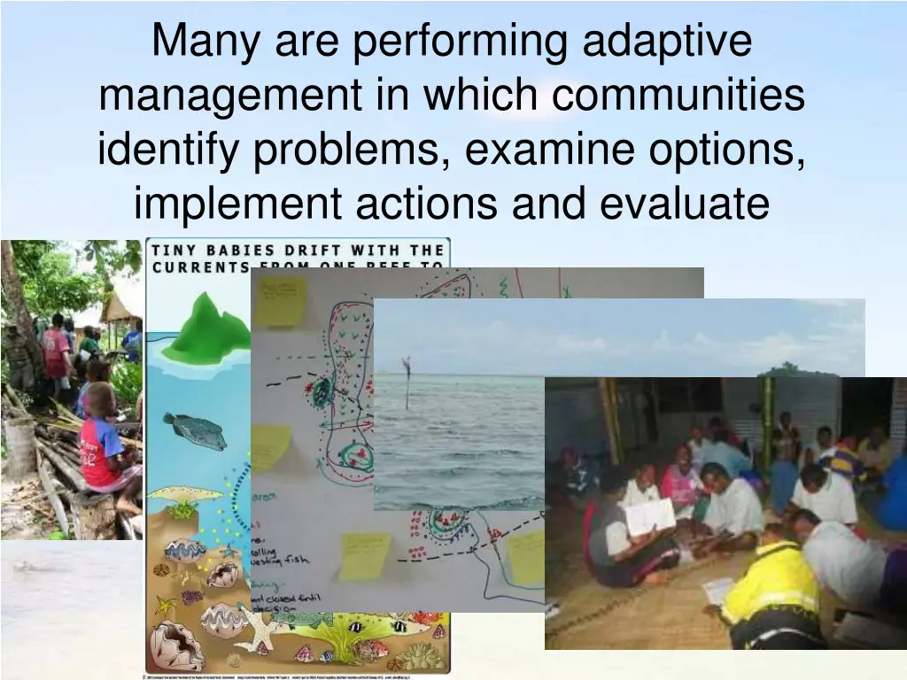 many are performing adaptive management in which