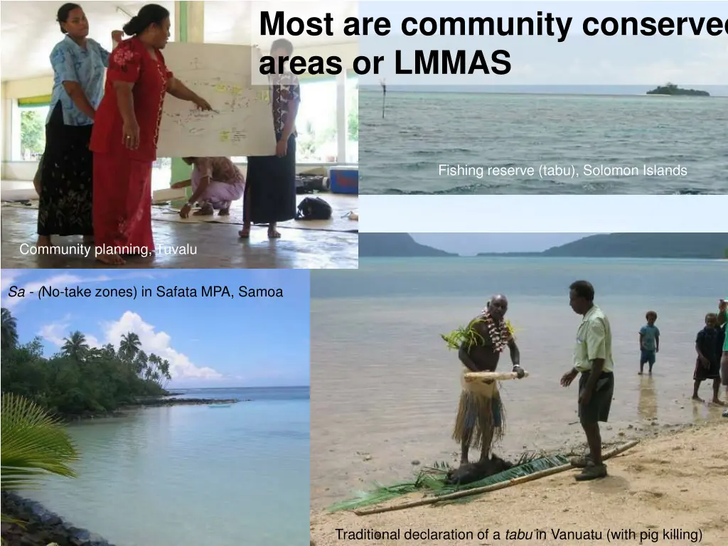 most are community conserved areas or lmmas