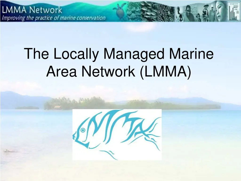 the locally managed marine area network lmma