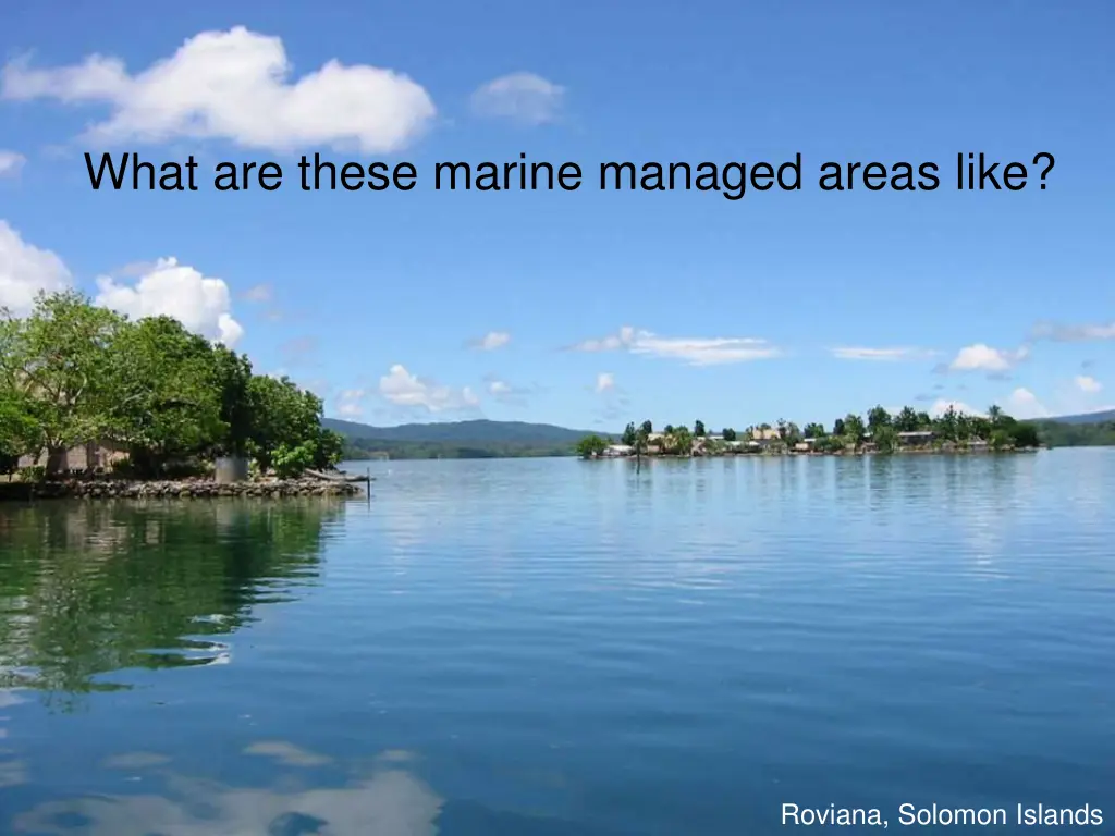 what are these marine managed areas like