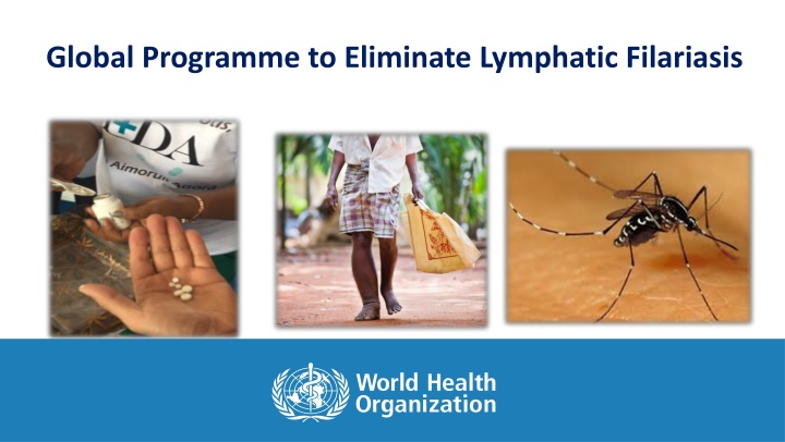 global programme to eliminate lymphatic filariasis