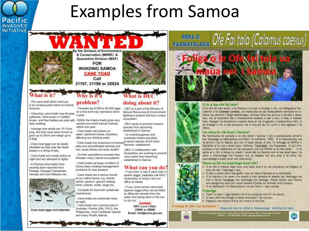 examples from samoa