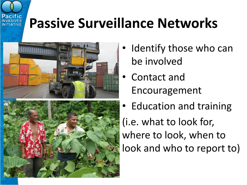 passive surveillance networks