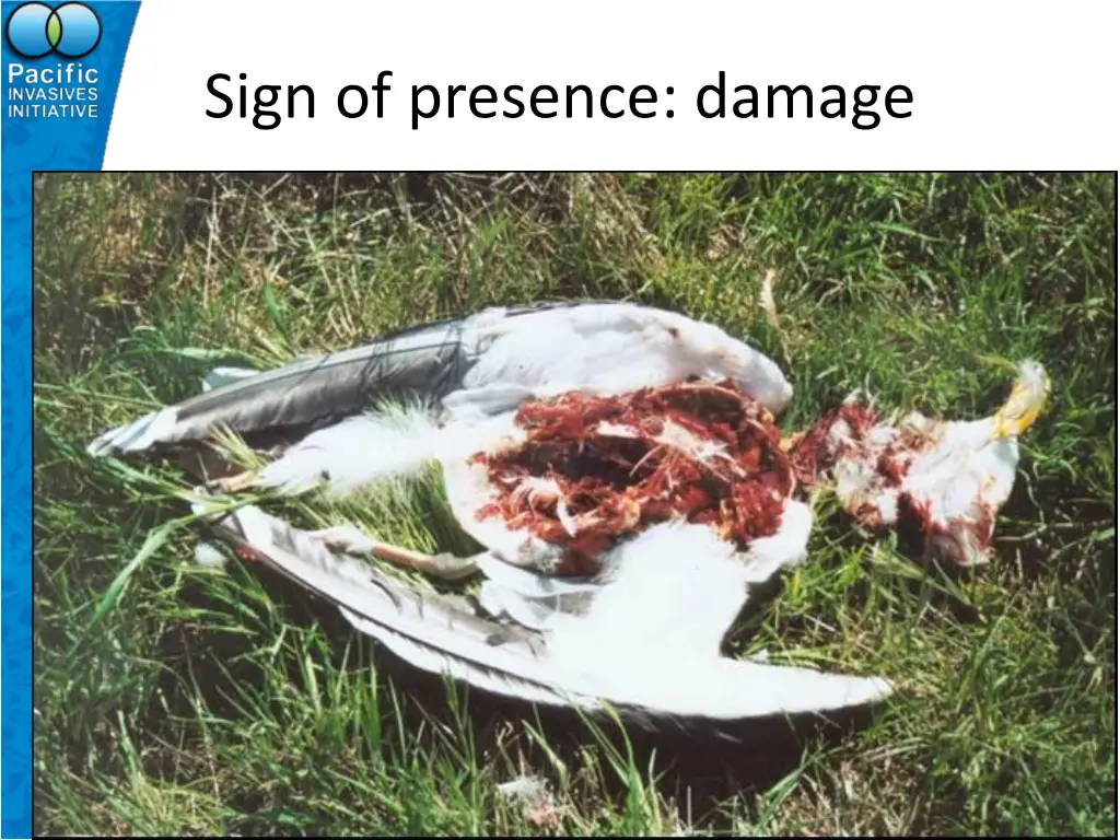 sign of presence damage