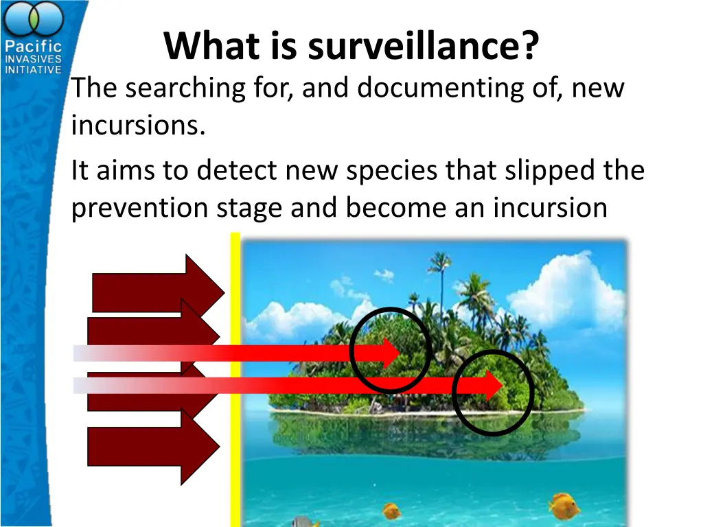 what is surveillance the searching