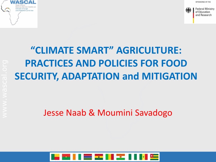 climate smart agriculture practices and policies