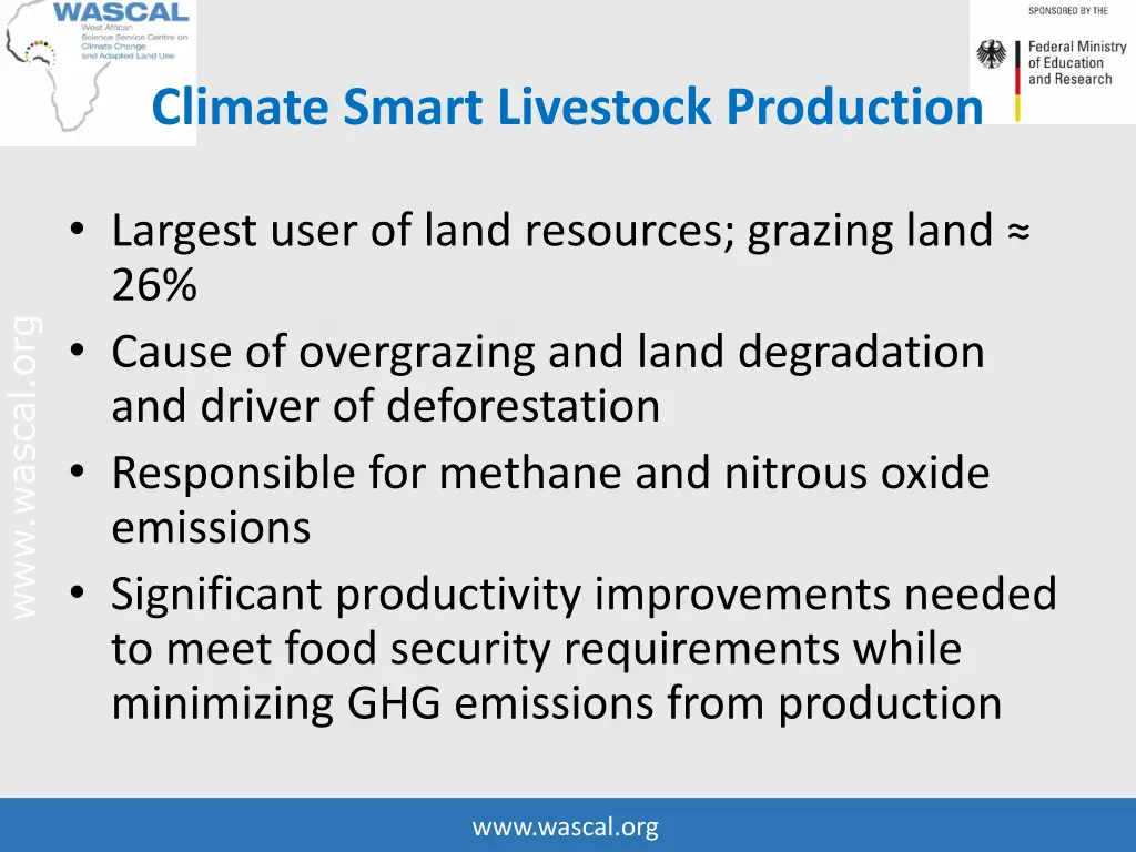 climate smart livestock production