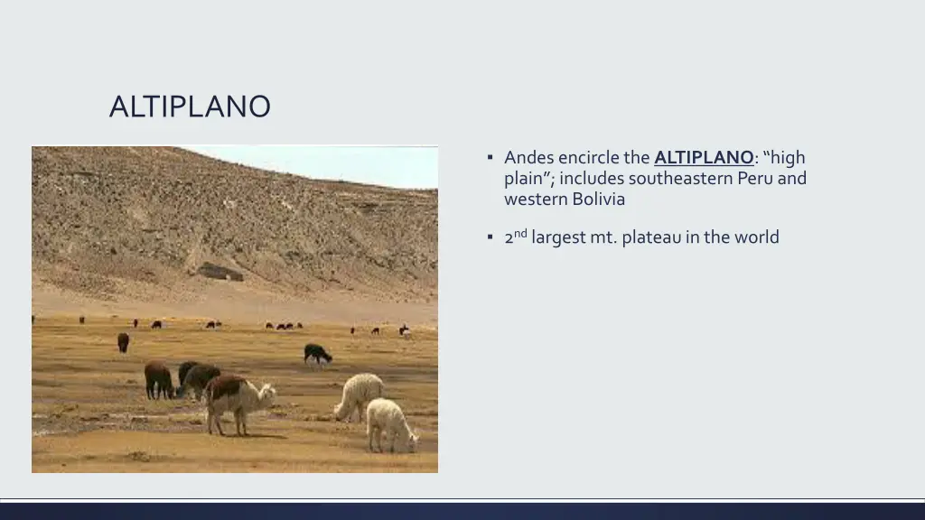 altiplano