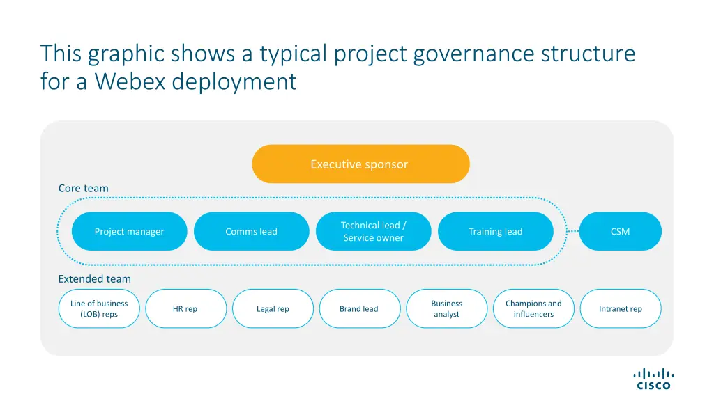 this graphic shows a typical project governance