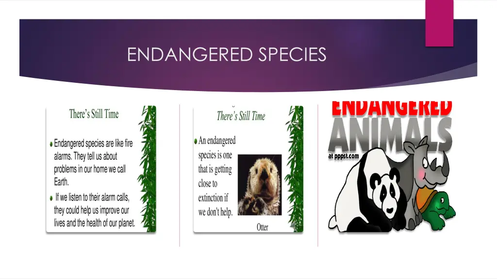 endangered species