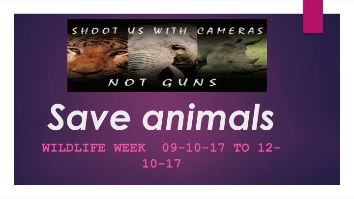 save animals wildlife week 09 10 17 to 12 10 17