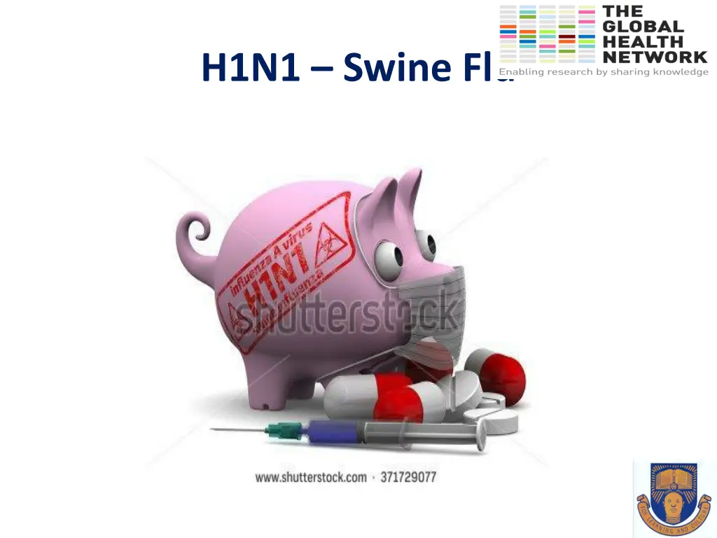 h1n1 swine flu