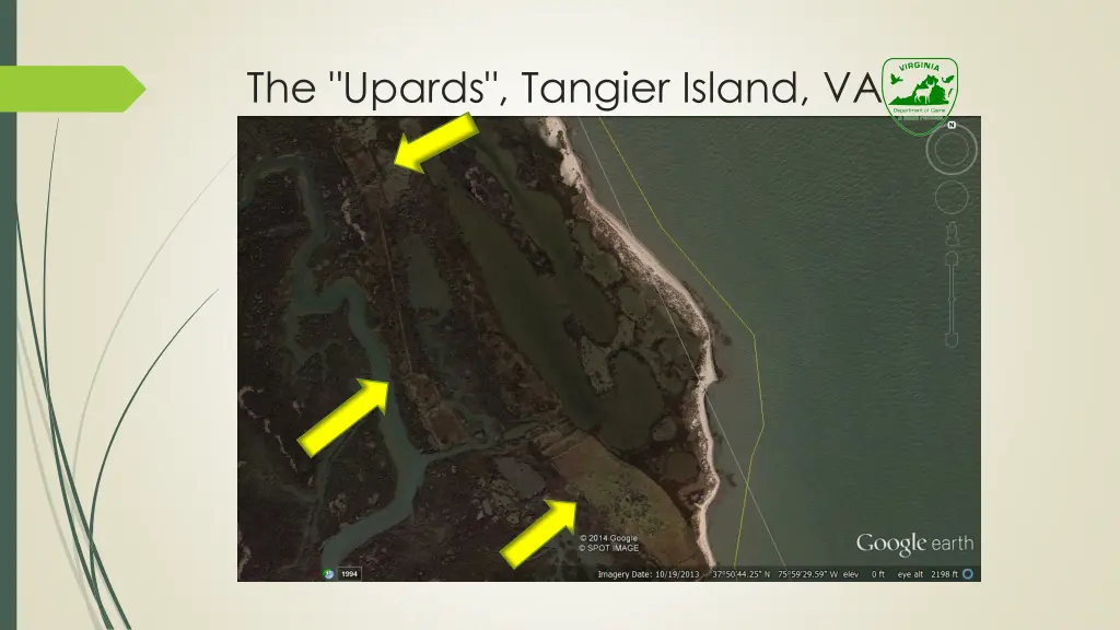 the upards tangier island va 6