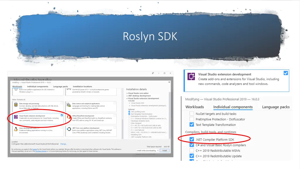 roslyn sdk