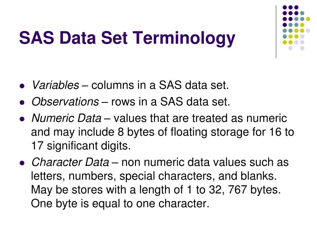 sas data set terminology