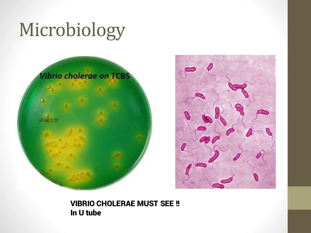 microbiology