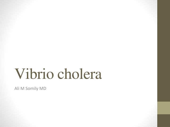 vibrio cholera