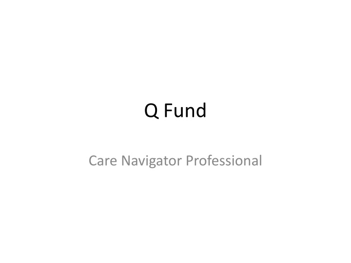 q fund