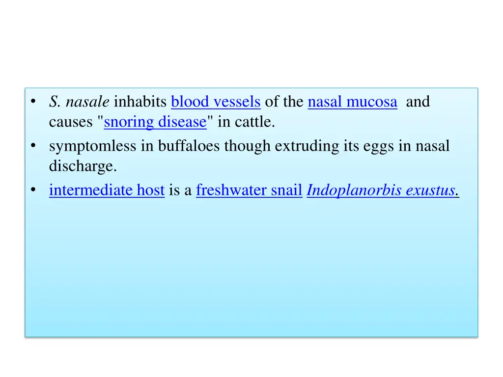 s nasale inhabits blood vessels of the nasal