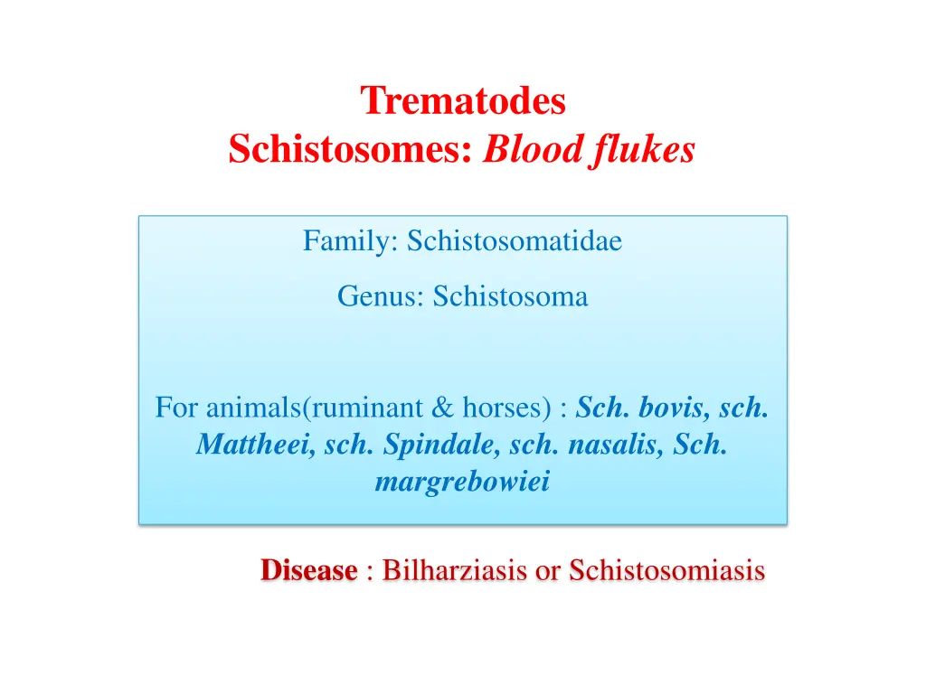 trematodes