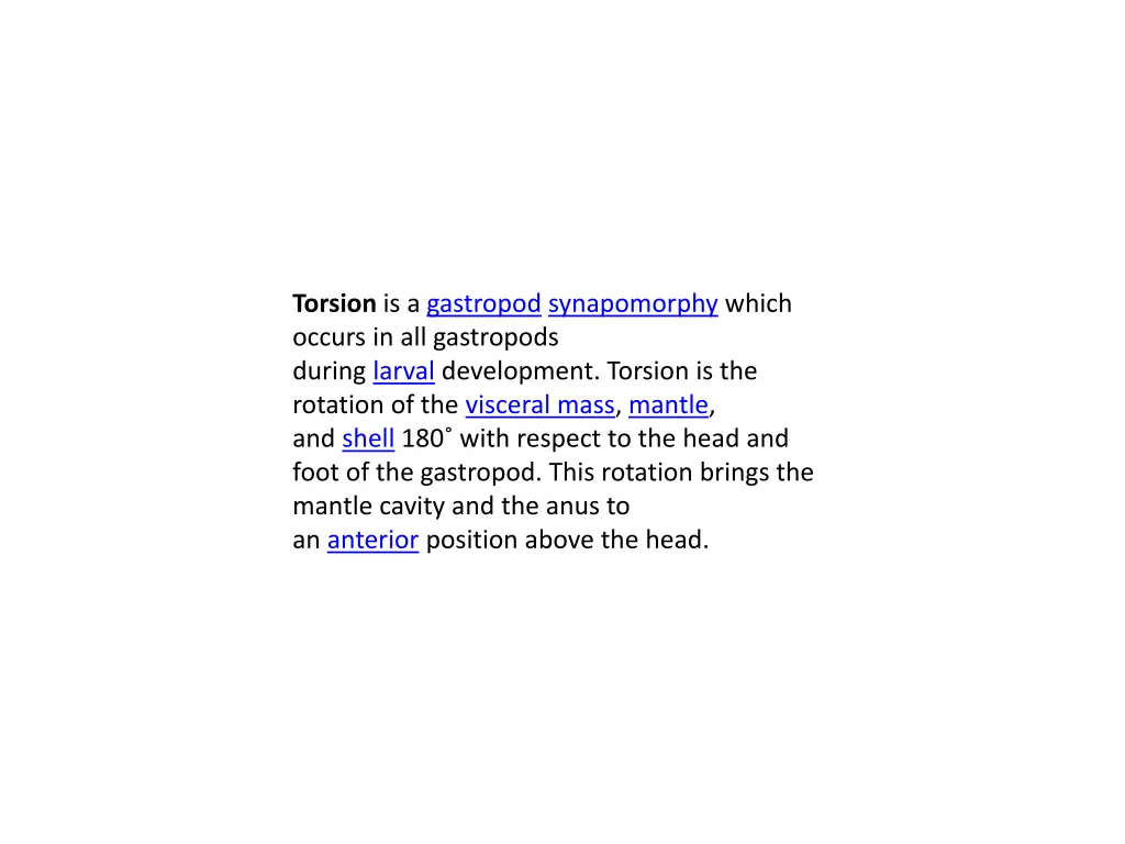 torsion is a gastropod synapomorphy which occurs