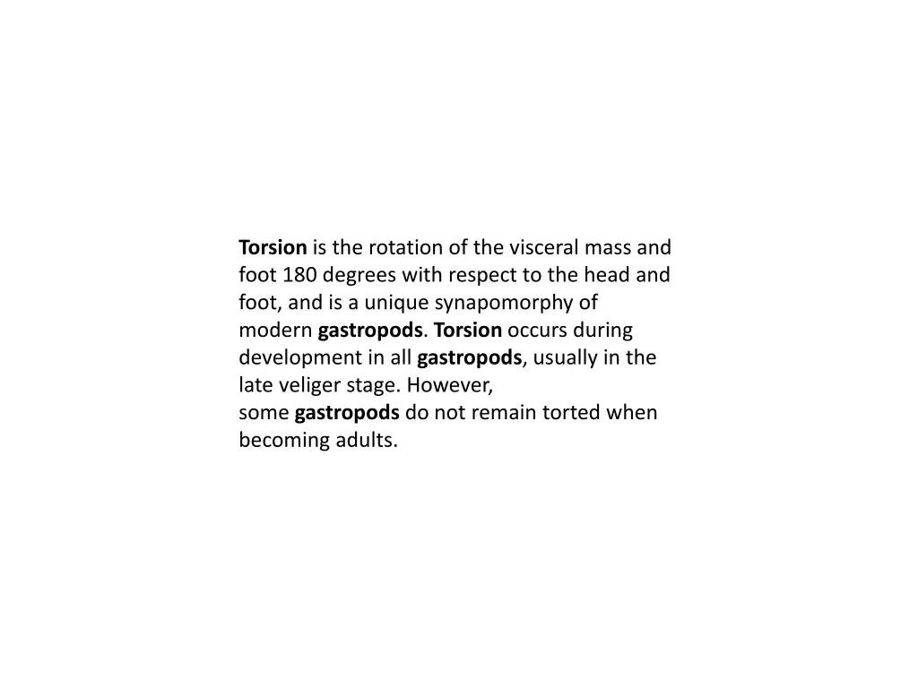 torsion is the rotation of the visceral mass