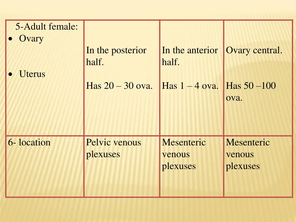 5 adult female ovary