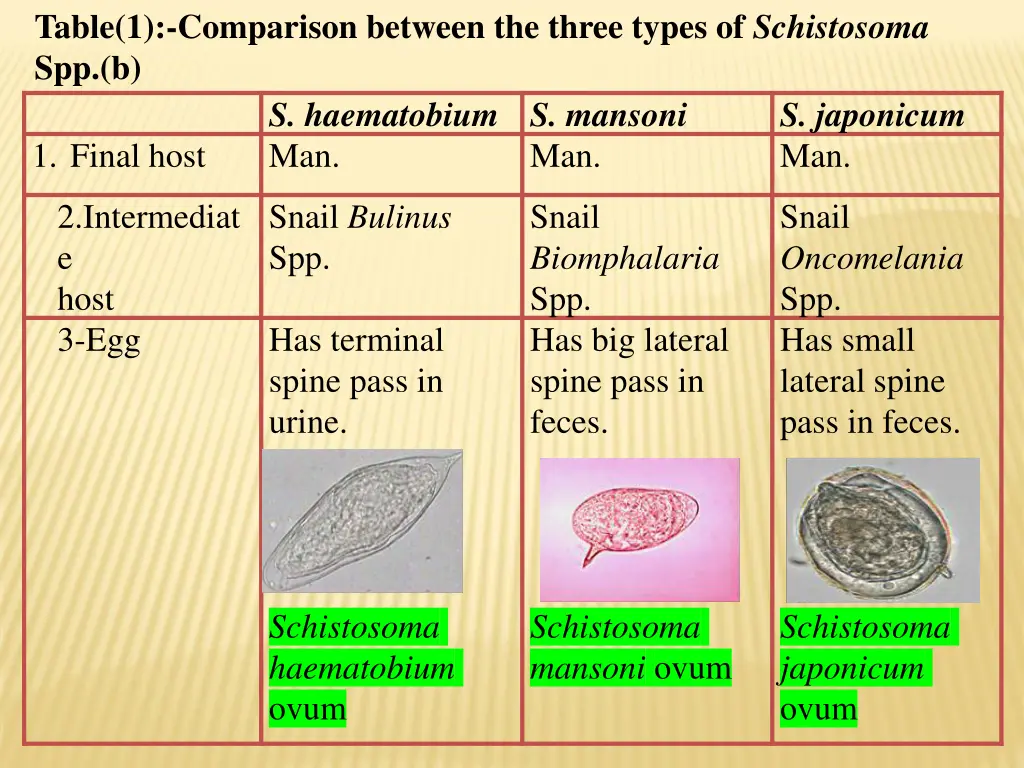 table 1 comparison between the three types