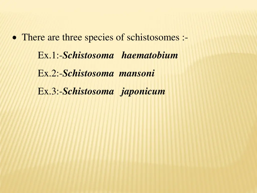 there are three species of schistosomes