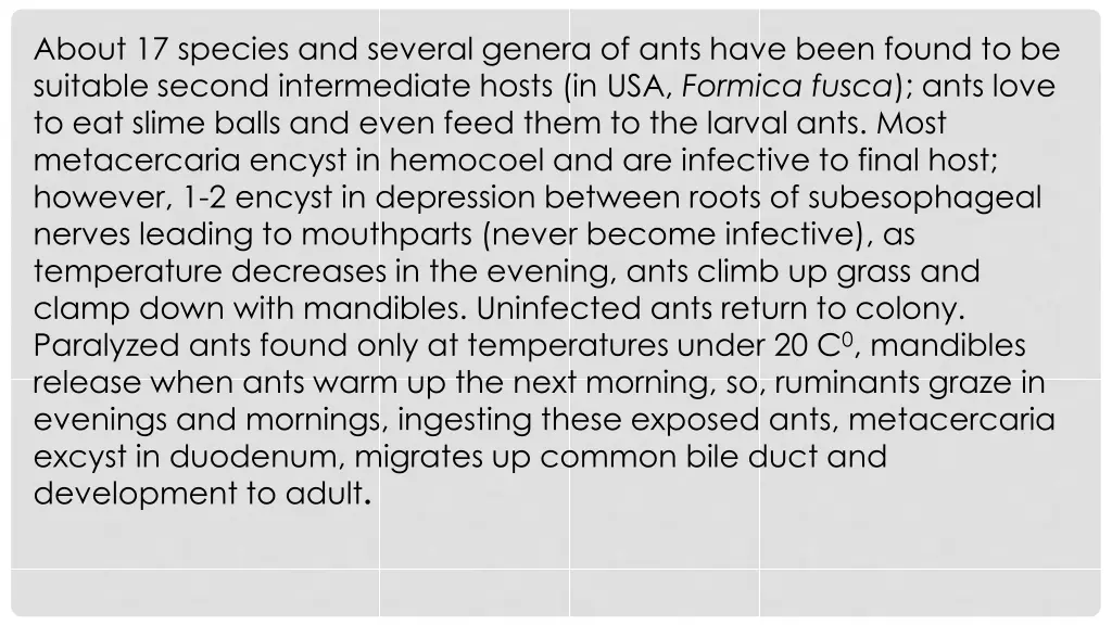 about 17 species and several genera of ants have