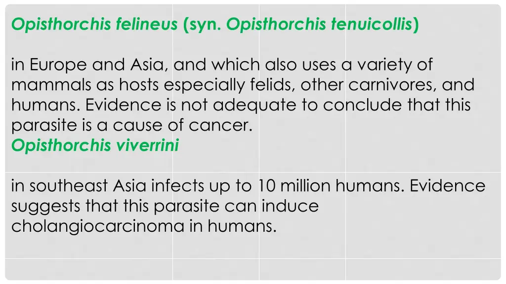 opisthorchis felineus syn opisthorchis tenuicollis