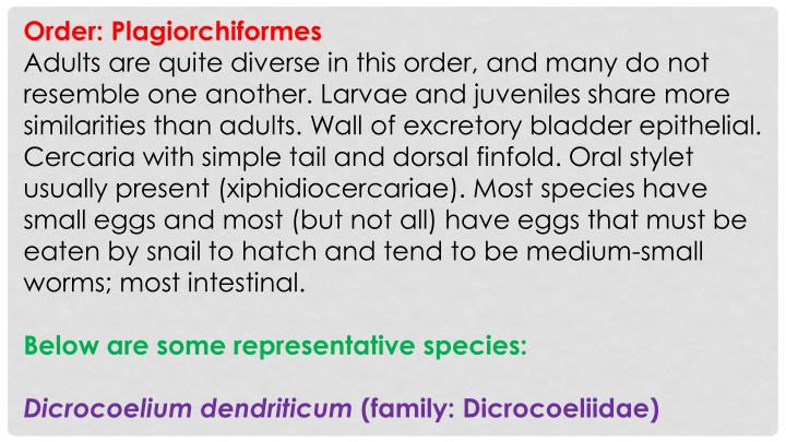 order plagiorchiformes adults are quite diverse