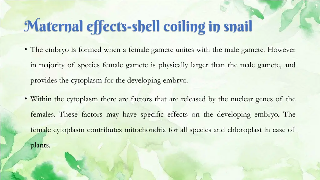 maternal effects shell coiling in snail