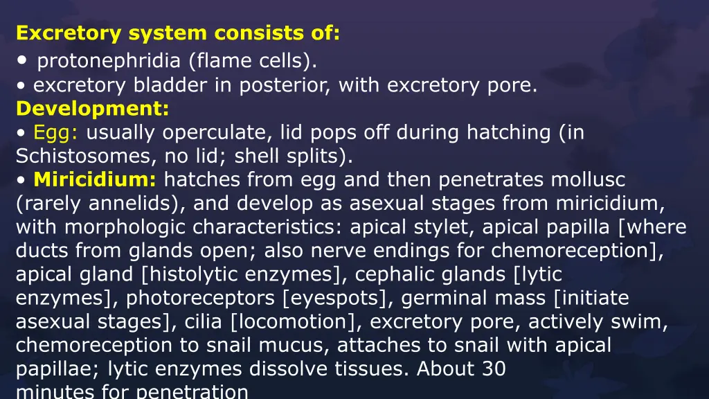 excretory system consists of protonephridia flame