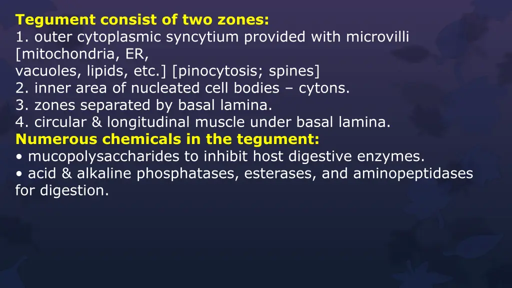 tegument consist of two zones 1 outer cytoplasmic