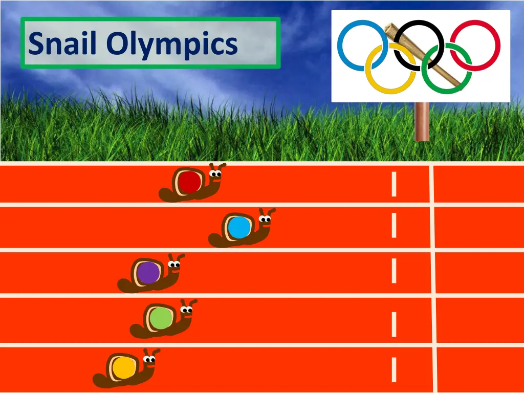 snail olympics 24