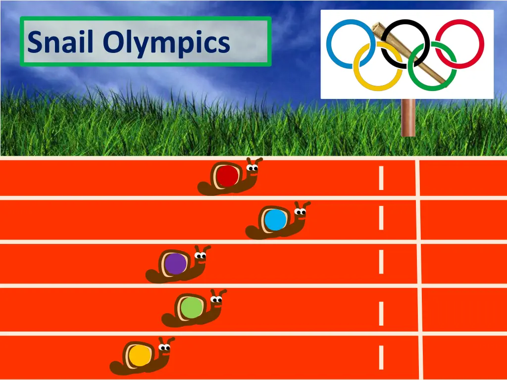 snail olympics 29