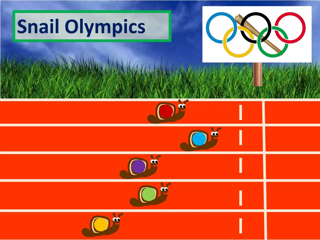 snail olympics 33