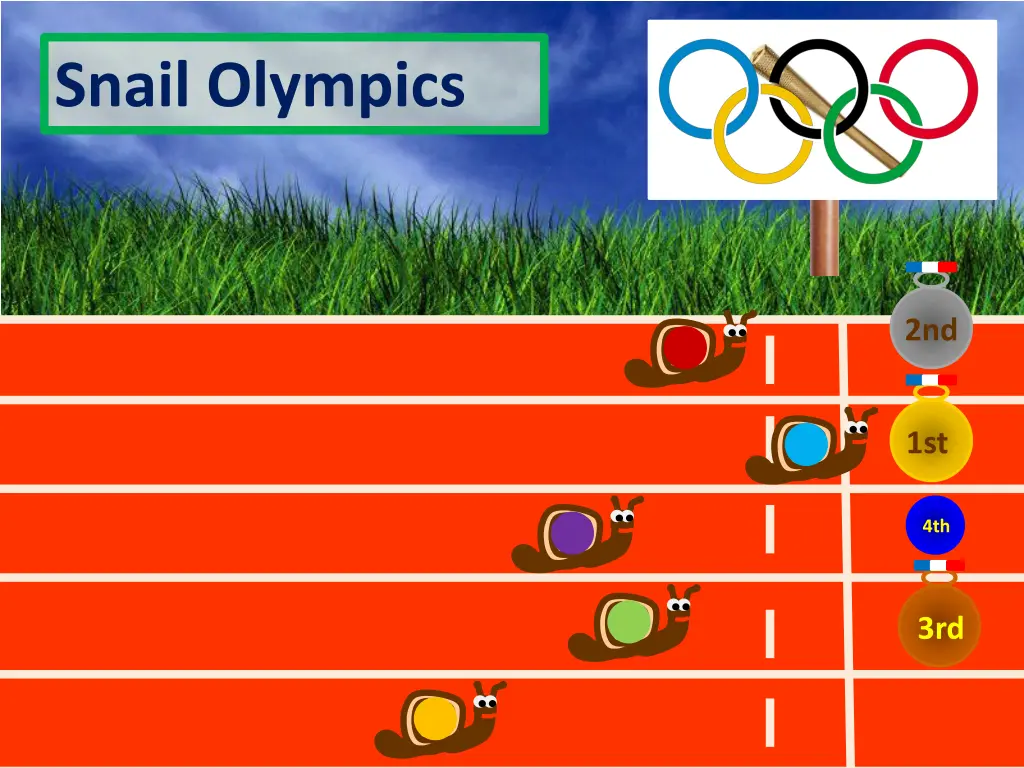 snail olympics 43