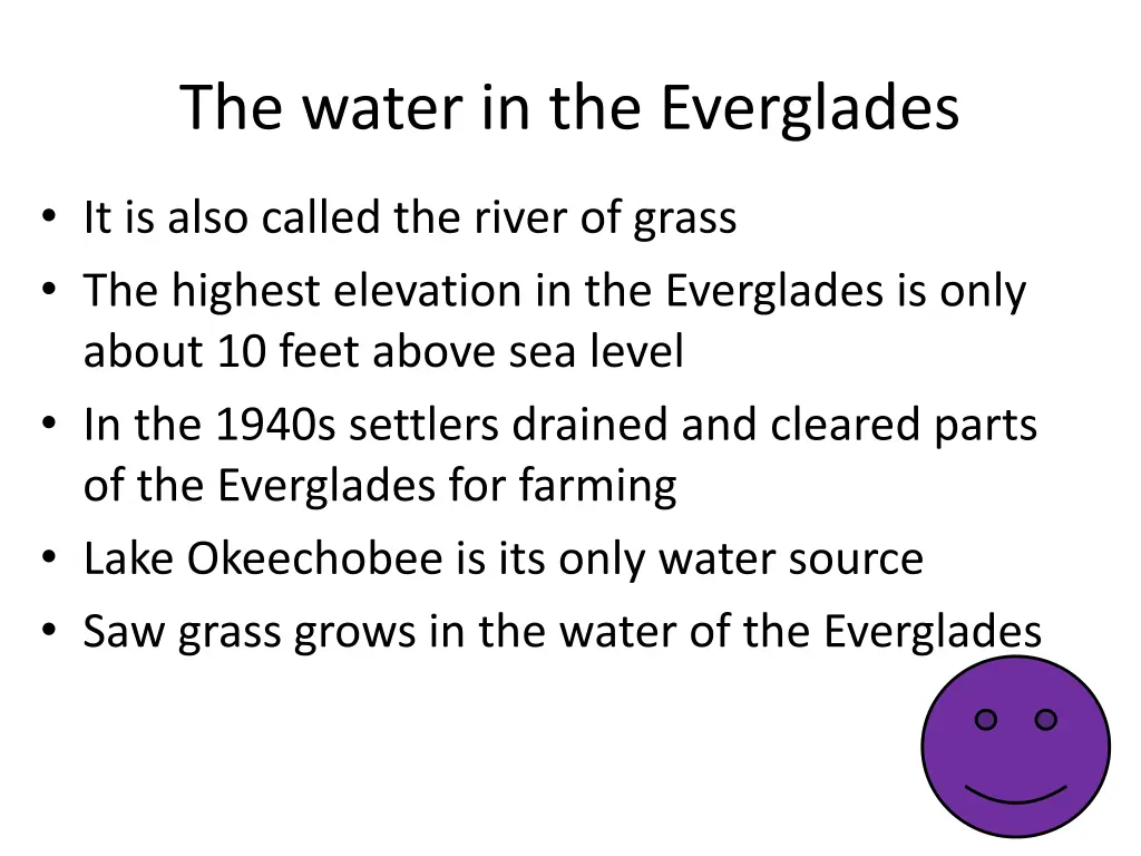 the water in the everglades