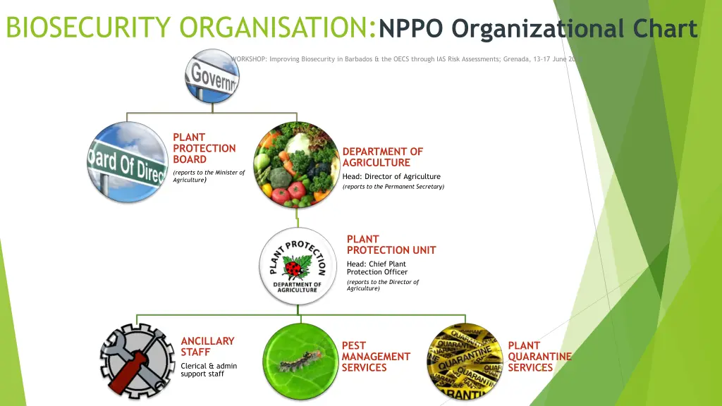 biosecurity organisation nppo organizational chart