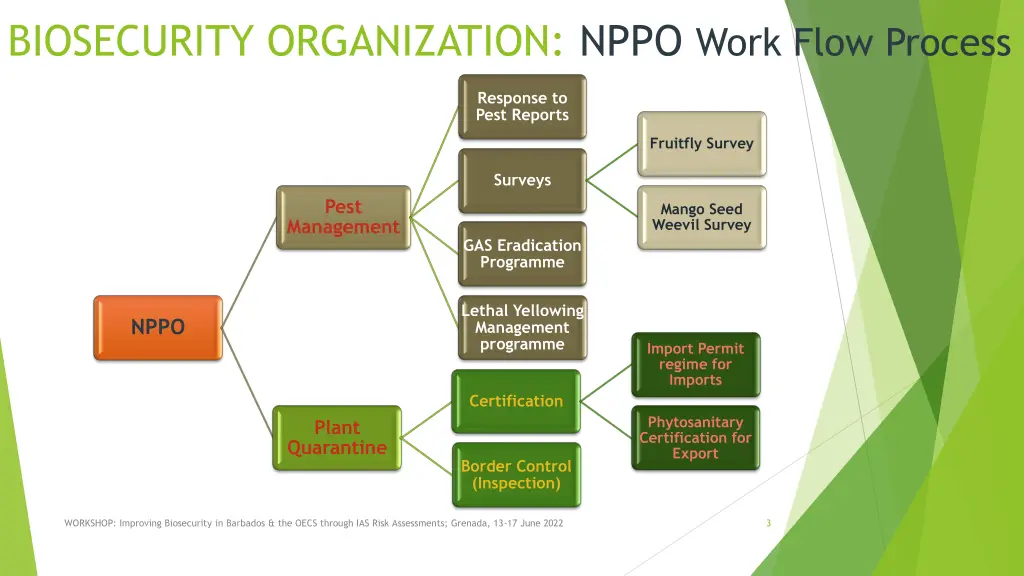 biosecurity organization nppo work flow process