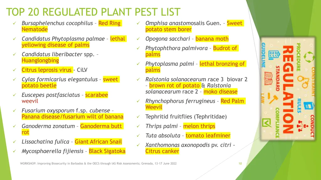 top 20 regulated plant pest list bursaphelenchus